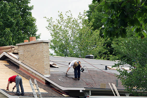 Best Roof Gutter Cleaning  in Mount Ora, OH