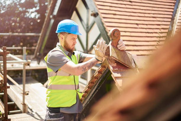 Best Roof Gutter Cleaning  in Mount Ora, OH